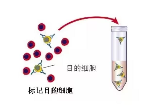 360截圖20240320191010019.jpg