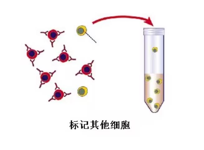 360截圖20240320191015951.jpg