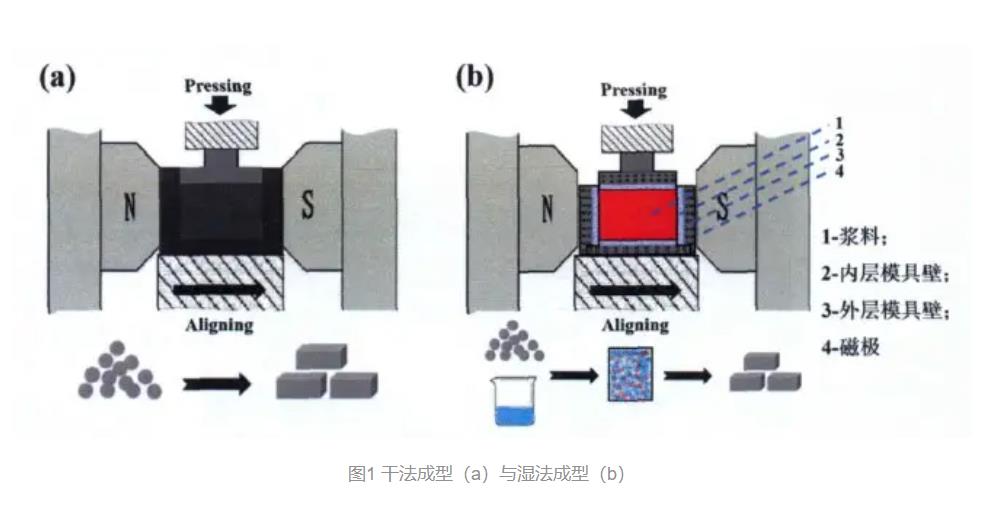 360截圖20240302095324462.jpg